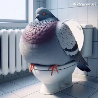 🤩