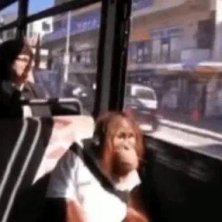 🚌
