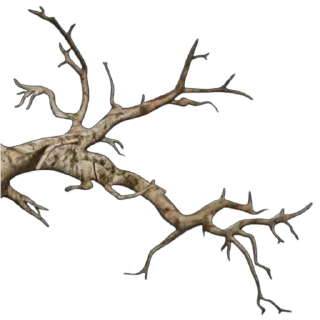 🌳