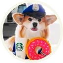 🍩