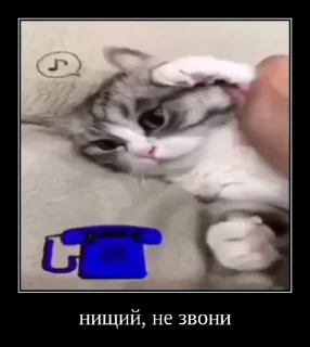 🥱
