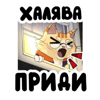 😅