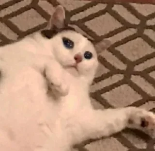 😭