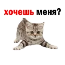 👌
