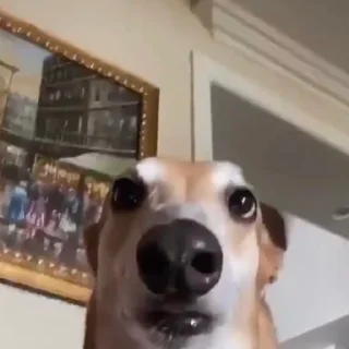 👀