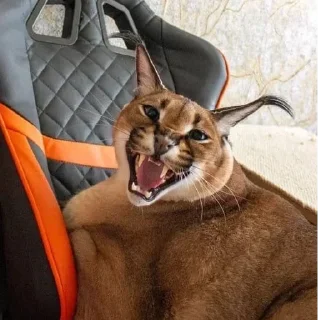 😠