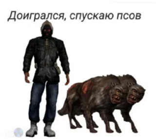 🐩