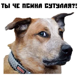 😑