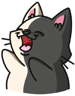 Cat Bonbon