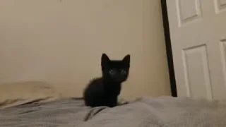👋