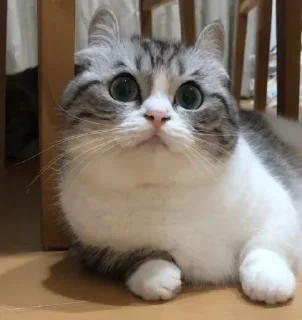 😒