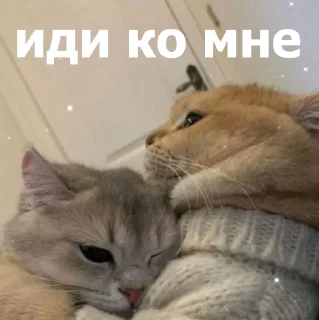 🥹