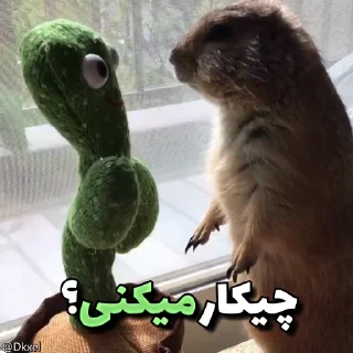 🦫