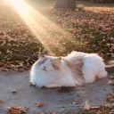 😇