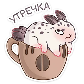 ☕️
