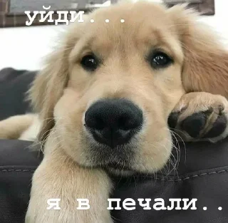 😢
