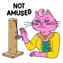 😾