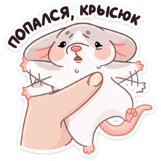 🐀