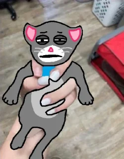 🐱