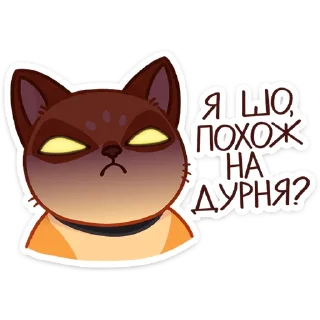 ❓