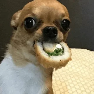 😛