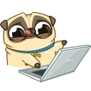 👨‍💻