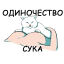 🐱