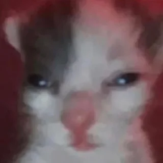 😑