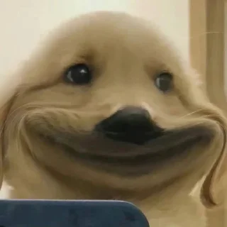😒