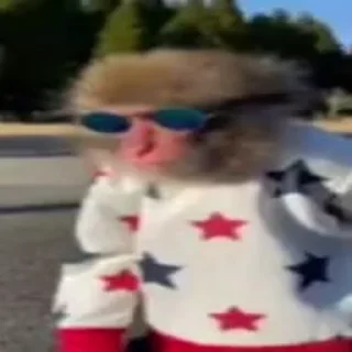 😎