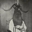 🐏