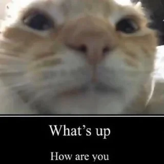 🤟
