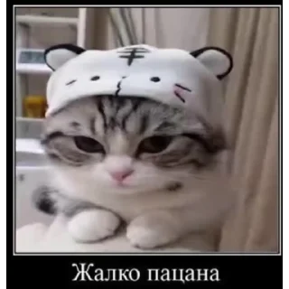 😪