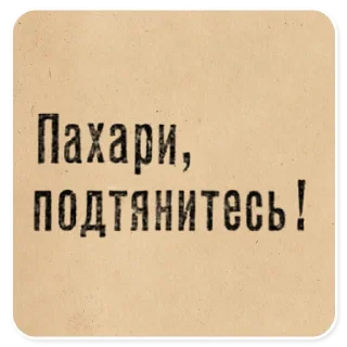 👥