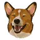 🐶
