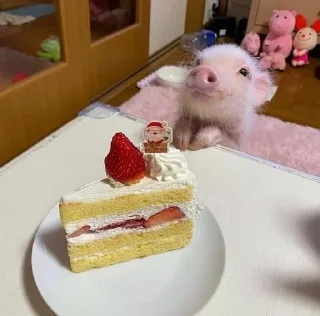 😋
