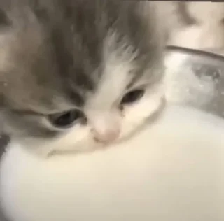 🤍