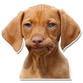 😐