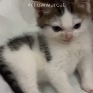 😪