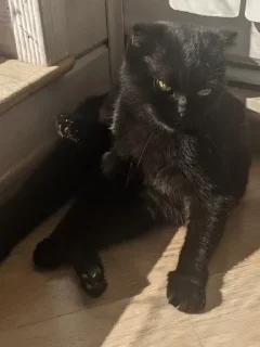 😒