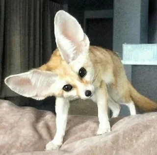 👀