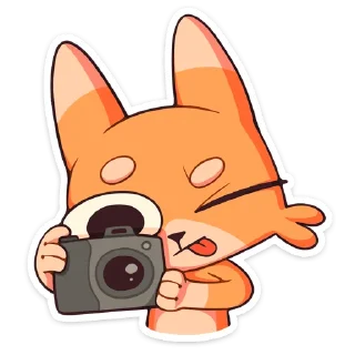 📷