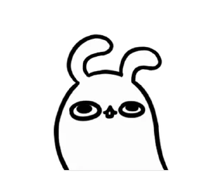 🐰