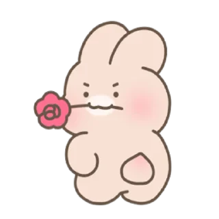 🌹