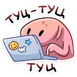 💻