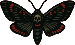 🦋