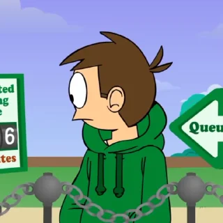 🌟