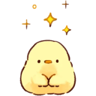✨