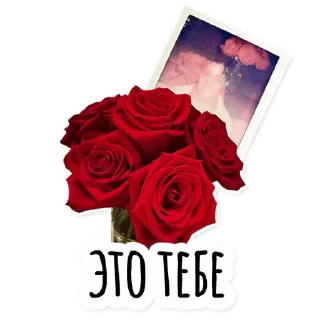 🌹