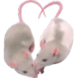 🐁